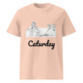 Unisex Caturday Women's T-Shirt by Stanley/Stella made from organic cotton, featuring a front design in a fresh peach color.